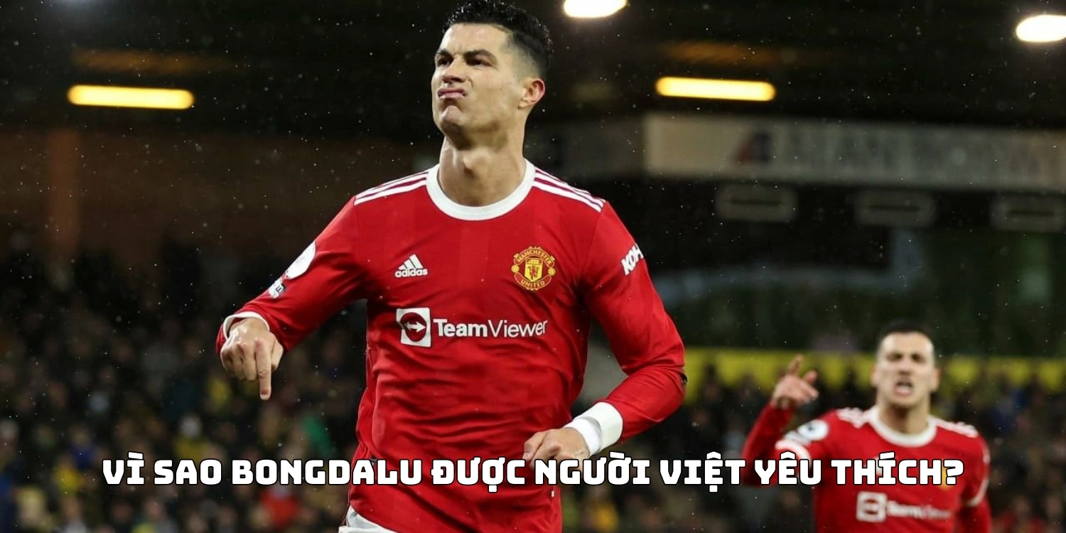 Vì sao Bongdalu được người Việt yêu thích?